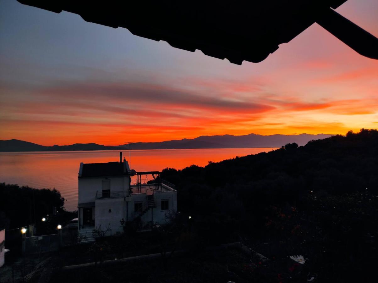 Seaside Boutique Villa Volos Bagian luar foto